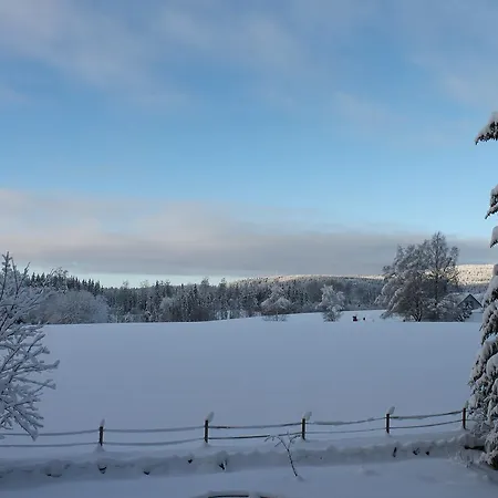 Steinsgard-maura Maura