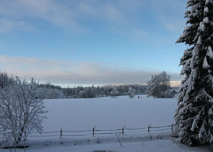 Steinsgard-maura Maura